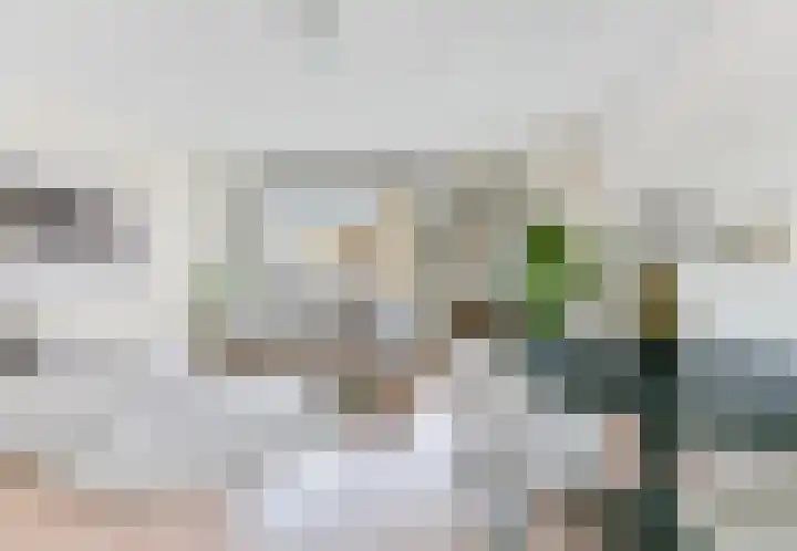 Gravin van Burenlaan 23 Amersfoort thumbnail 8