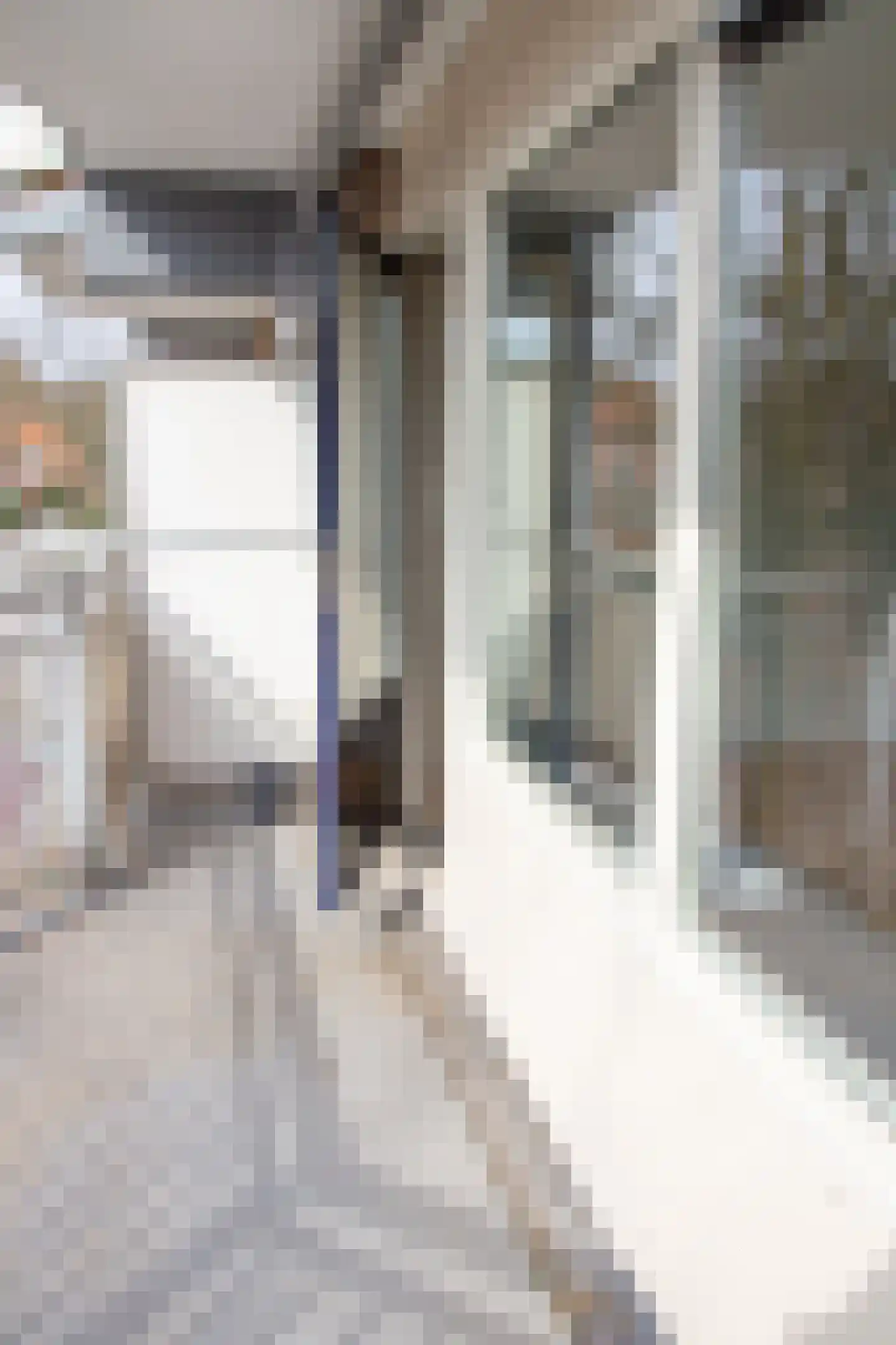 Gravin van Burenlaan 25 Amersfoort thumbnail 18