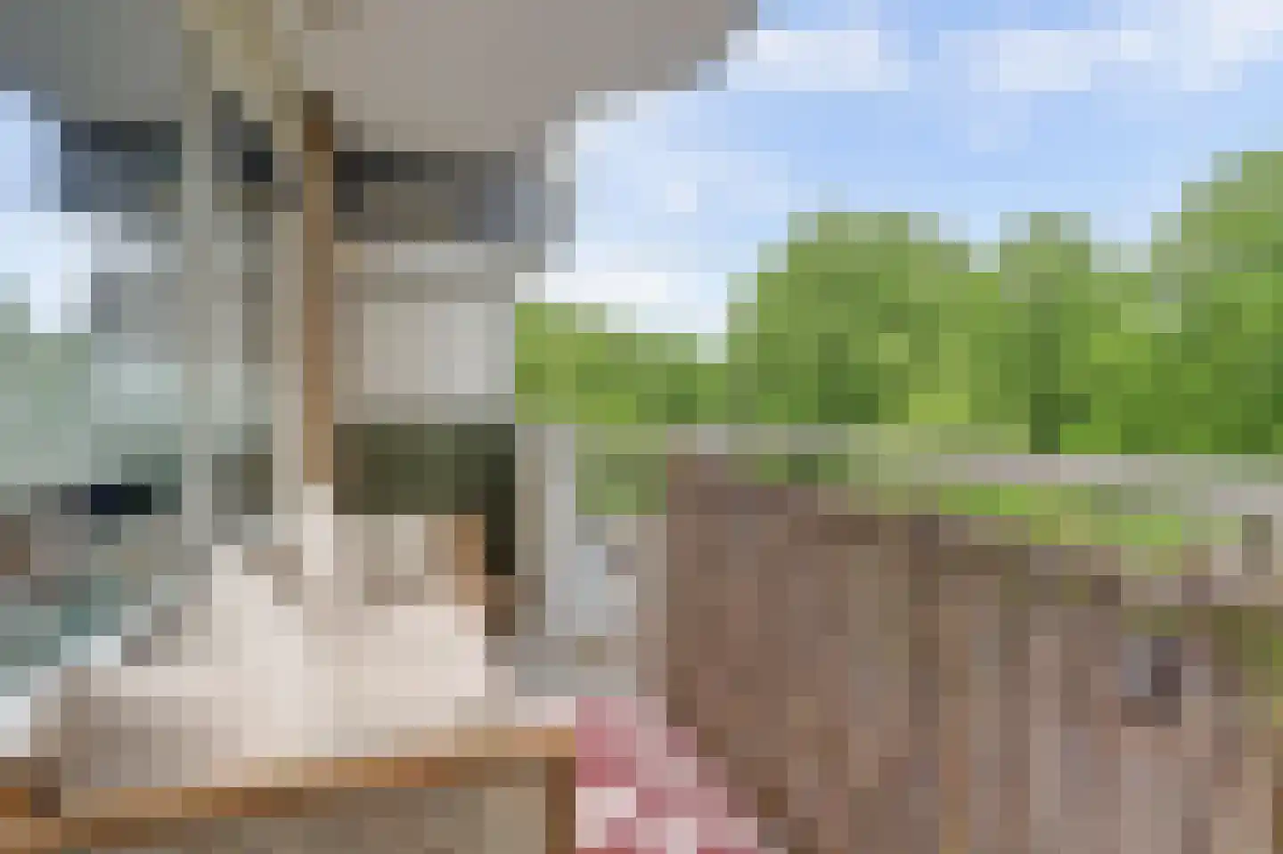 Gravin van Burenlaan 31 Amersfoort thumbnail 16