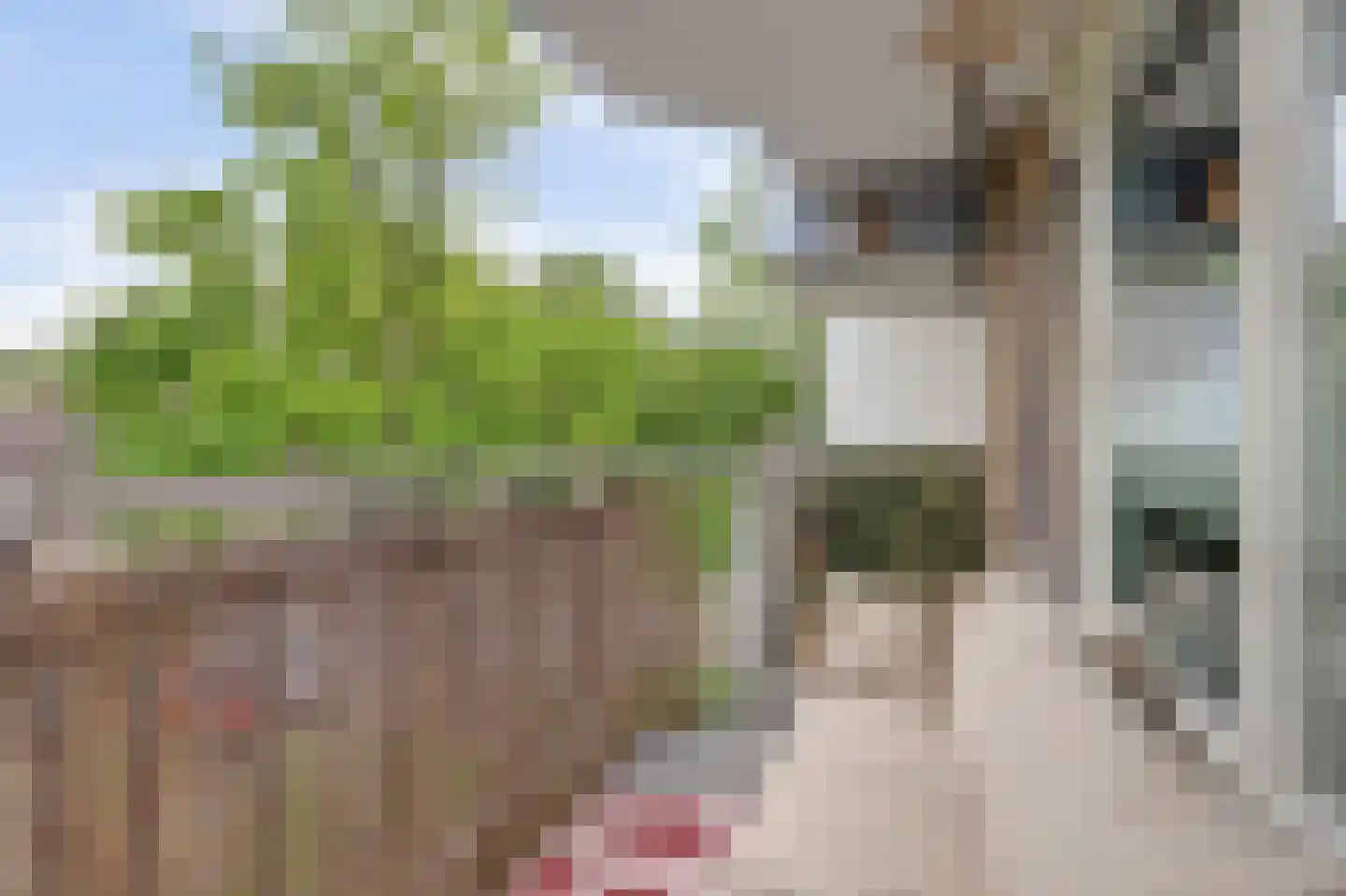 Gravin van Burenlaan 31 Amersfoort thumbnail 17