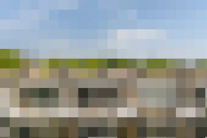 Gravin van Burenlaan 47 Amersfoort thumbnail 17
