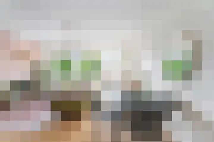 Gravin van Burenlaan 47 Amersfoort thumbnail 27