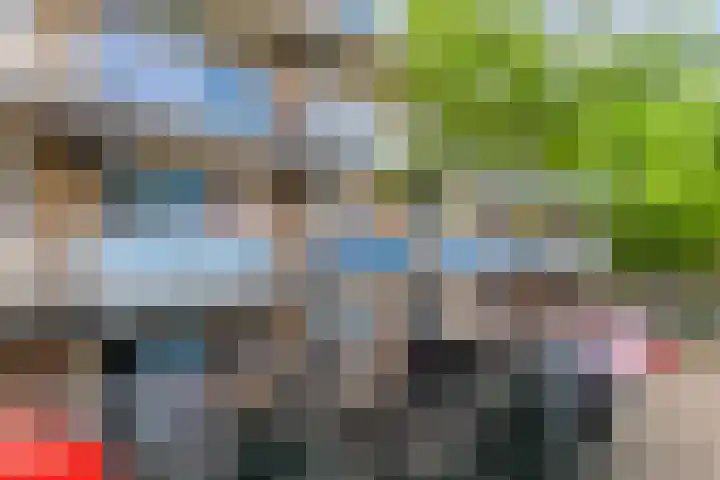 Gravin van Burenlaan 5 Amersfoort thumbnail 18