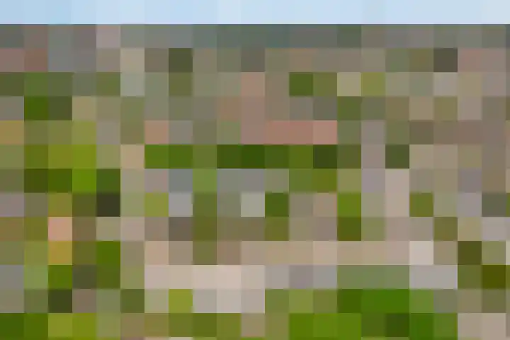 Gravin van Burenlaan 5 Amersfoort thumbnail 22