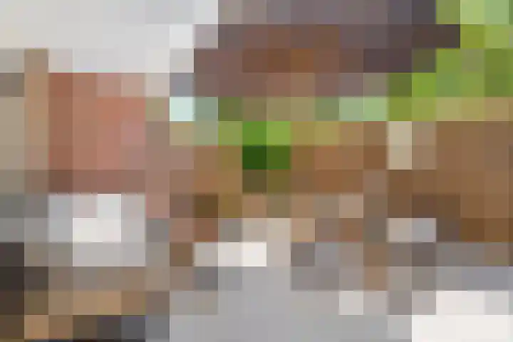 Gravin van Burenlaan 5 Amersfoort thumbnail 4