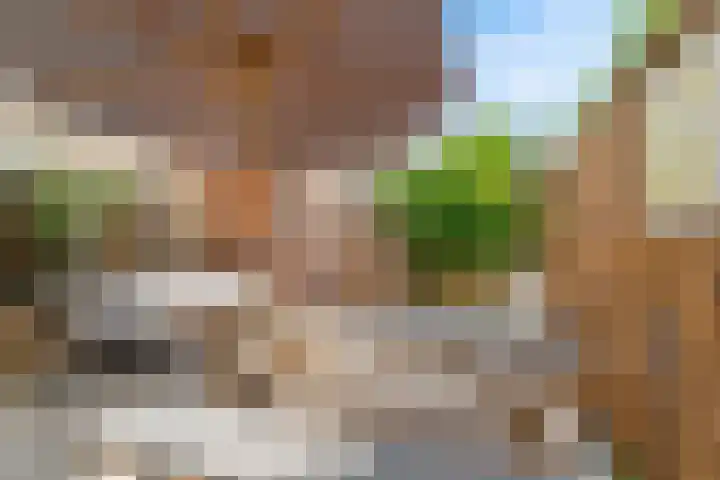 Gravin van Burenlaan 5 Amersfoort thumbnail 5