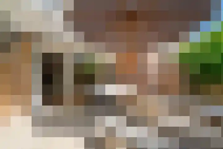 Gravin van Burenlaan 5 Amersfoort thumbnail 6