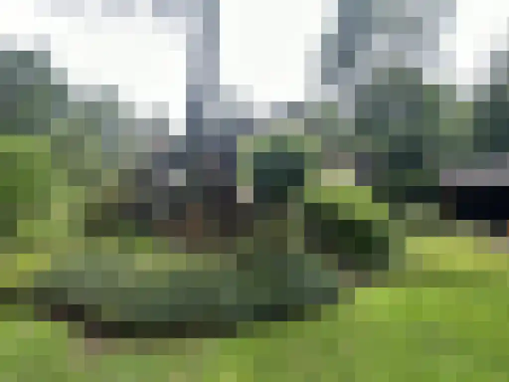 Gravin van Burenlaan 5 Eerbeek foto 3