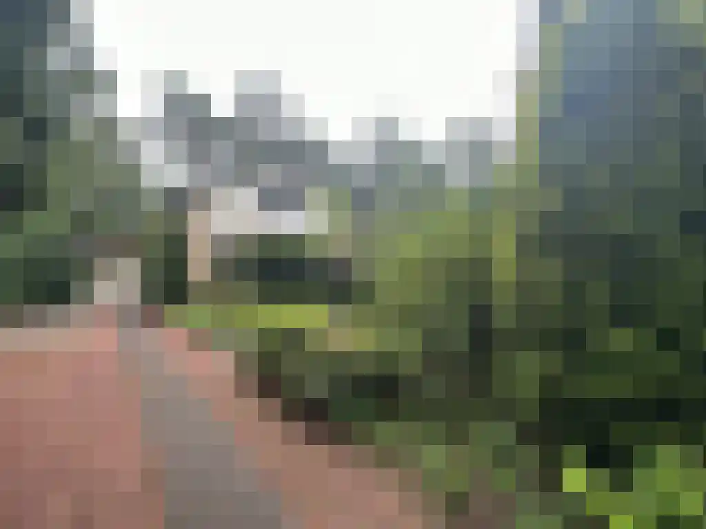 Gravin van Burenlaan 5 Eerbeek thumbnail 4