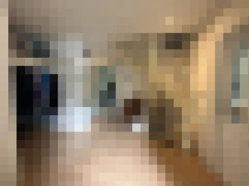 Gravin van Burenlaan 5 Eerbeek thumbnail 5