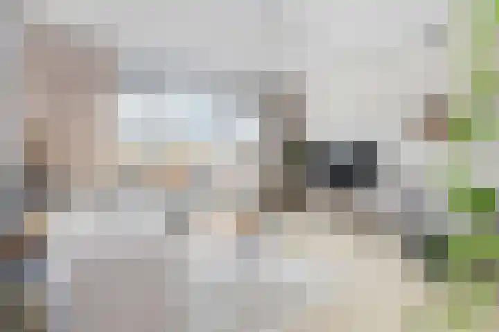 Gravin van Burenlaan 51 Amersfoort thumbnail 8