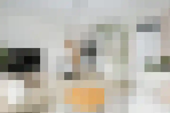 Gravin van Burenlaan 51 Amersfoort thumbnail 9