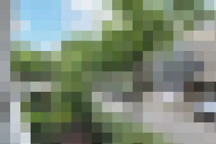 Gravin van Burenlaan 9 Amersfoort thumbnail 20