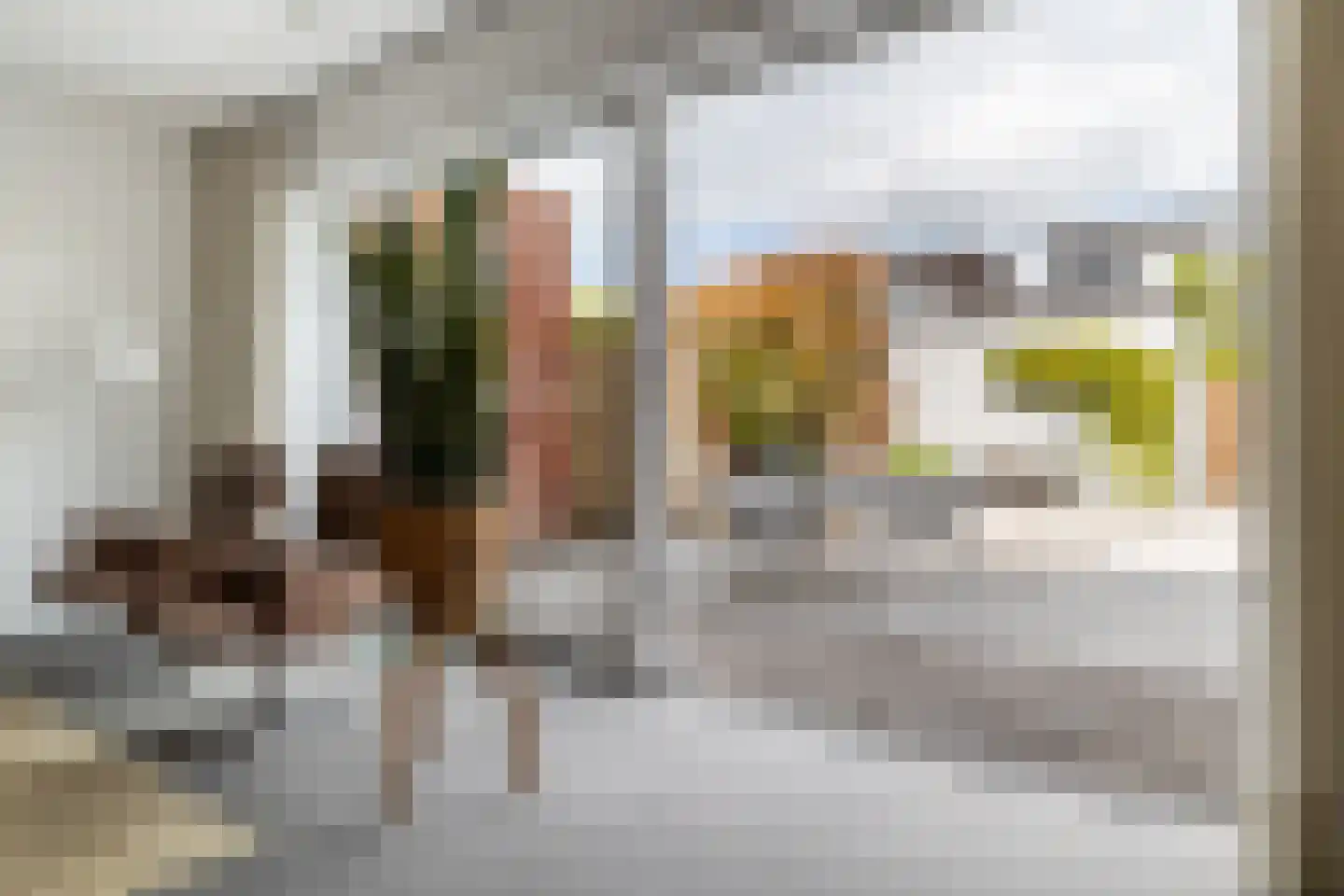 Gravin van Leeuwensteinstraat 10 Bavel thumbnail 18