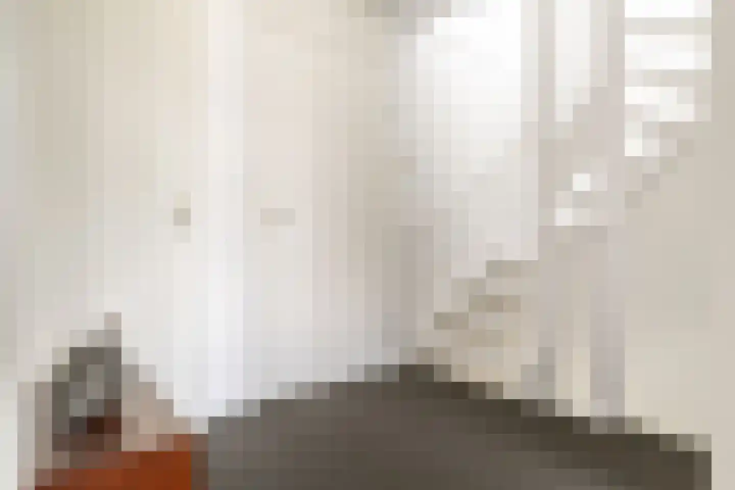 Gravin van Leeuwensteinstraat 10 Bavel thumbnail 24