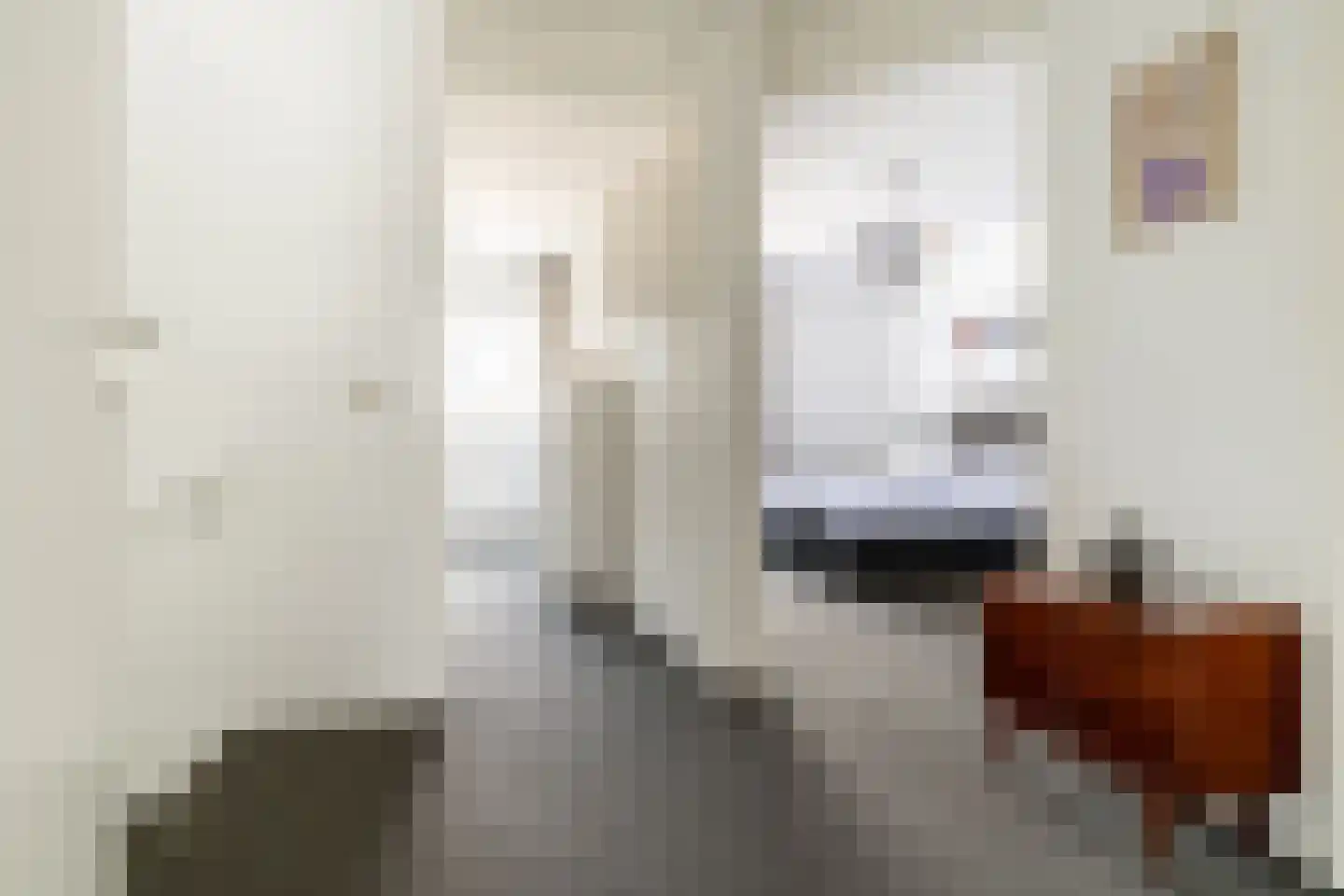 Gravin van Leeuwensteinstraat 10 Bavel thumbnail 25