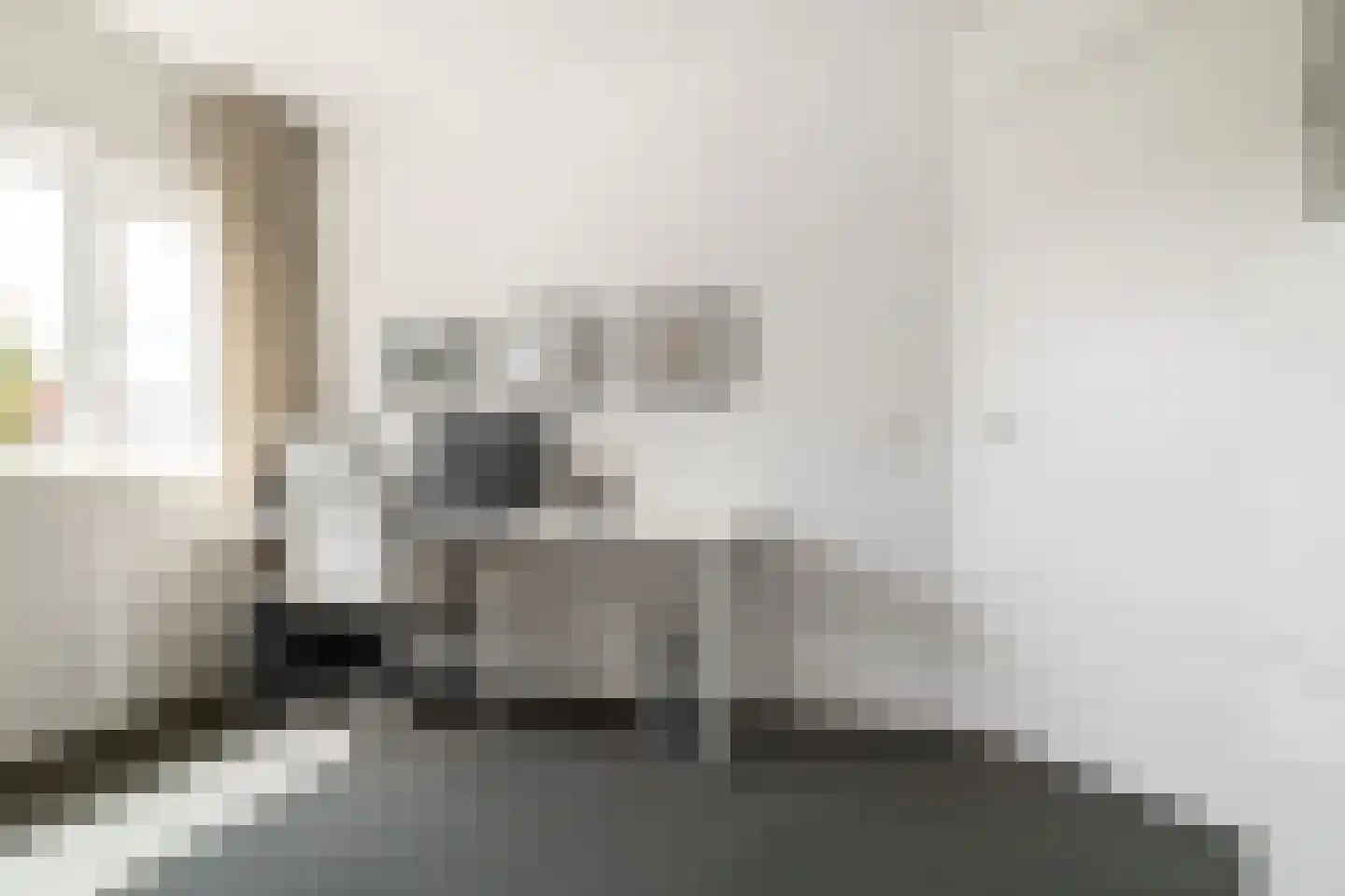 Gravin van Leeuwensteinstraat 10 Bavel thumbnail 33