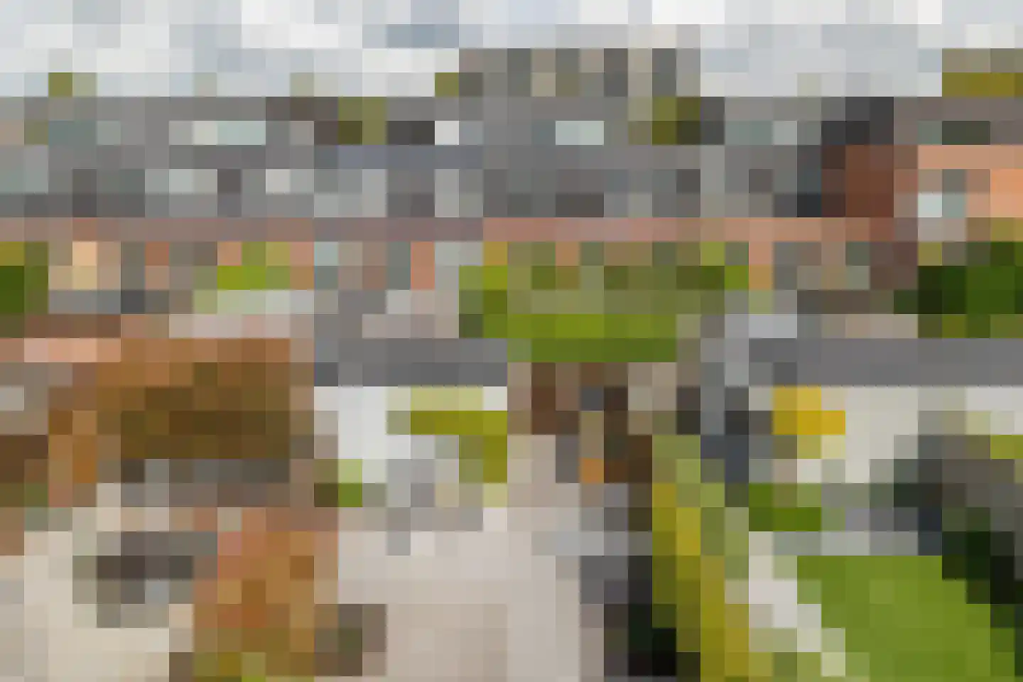 Gravin van Leeuwensteinstraat 10 Bavel thumbnail 43