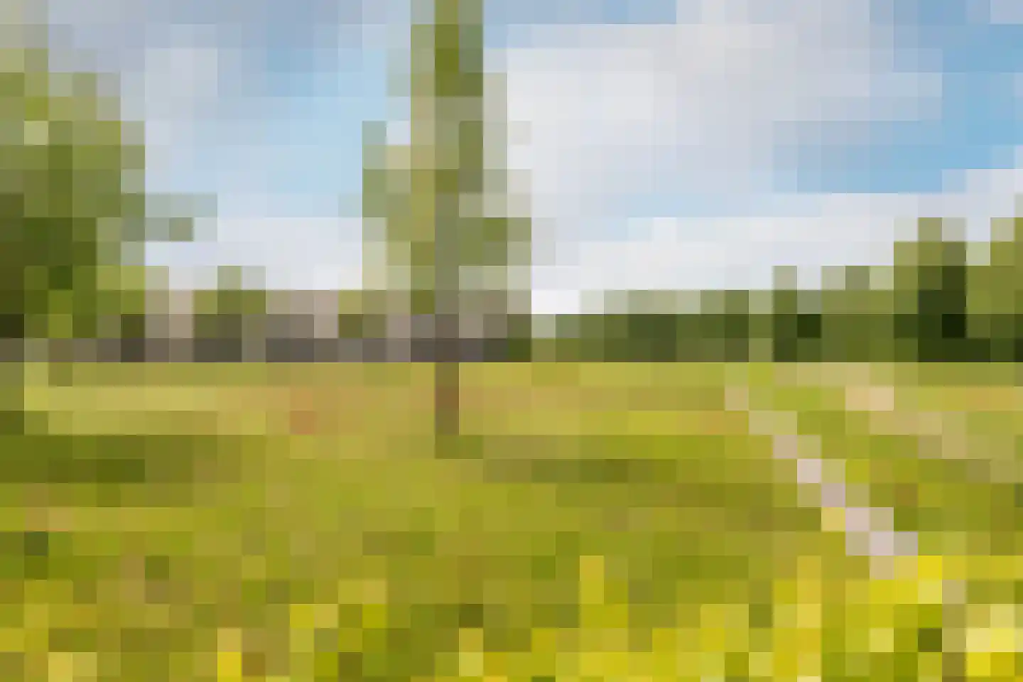 Gravin van Leeuwensteinstraat 10 Bavel thumbnail 48