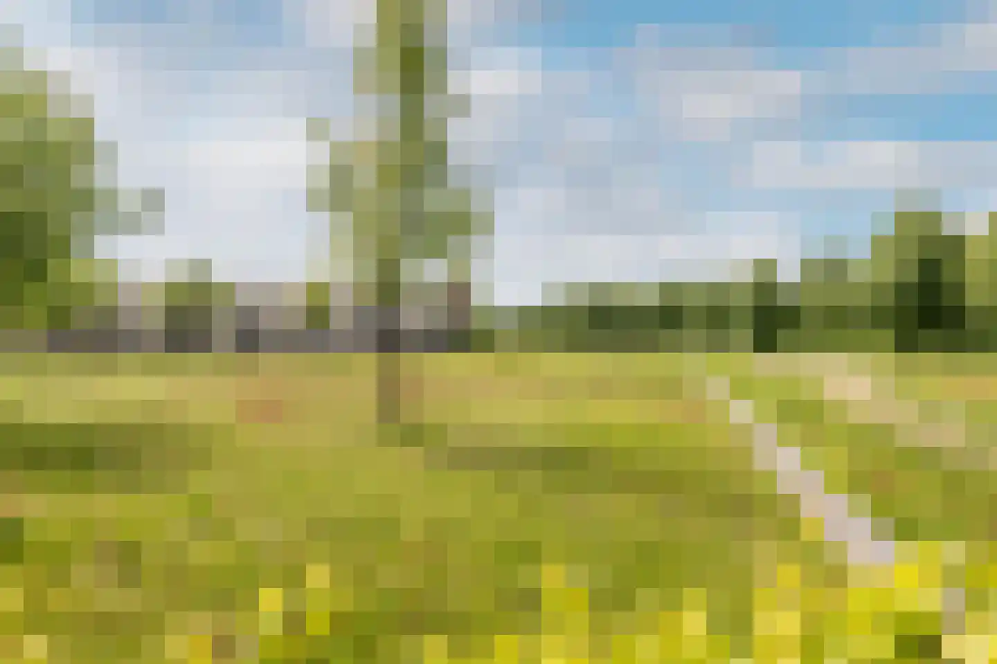 Gravin van Leeuwensteinstraat 10 Bavel thumbnail 49