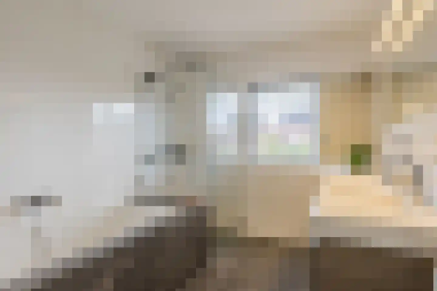 Gravin van Leeuwensteinstraat 43 Bavel thumbnail 27