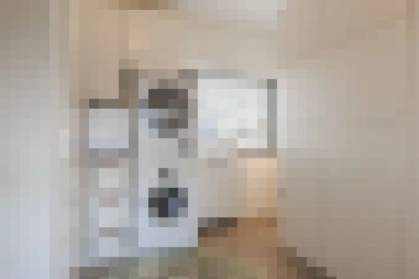 Gravin van Leeuwensteinstraat 43 Bavel thumbnail 30