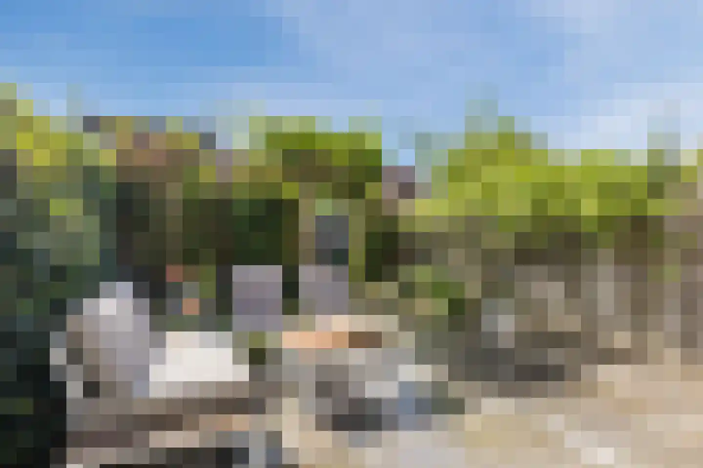 Gravin van Leeuwensteinstraat 43 Bavel thumbnail 35
