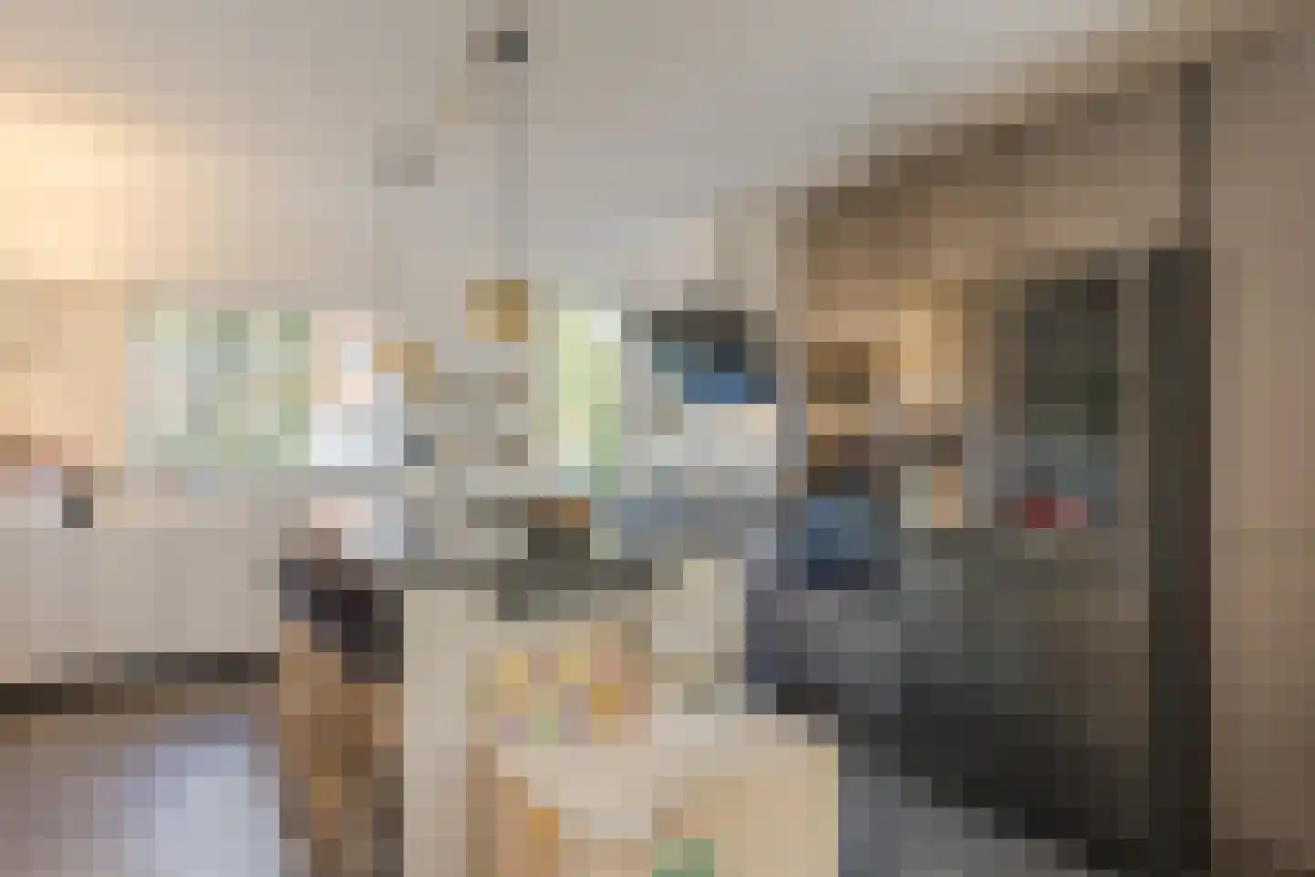 Gravin van Leeuwensteinstraat 43 Bavel thumbnail 4