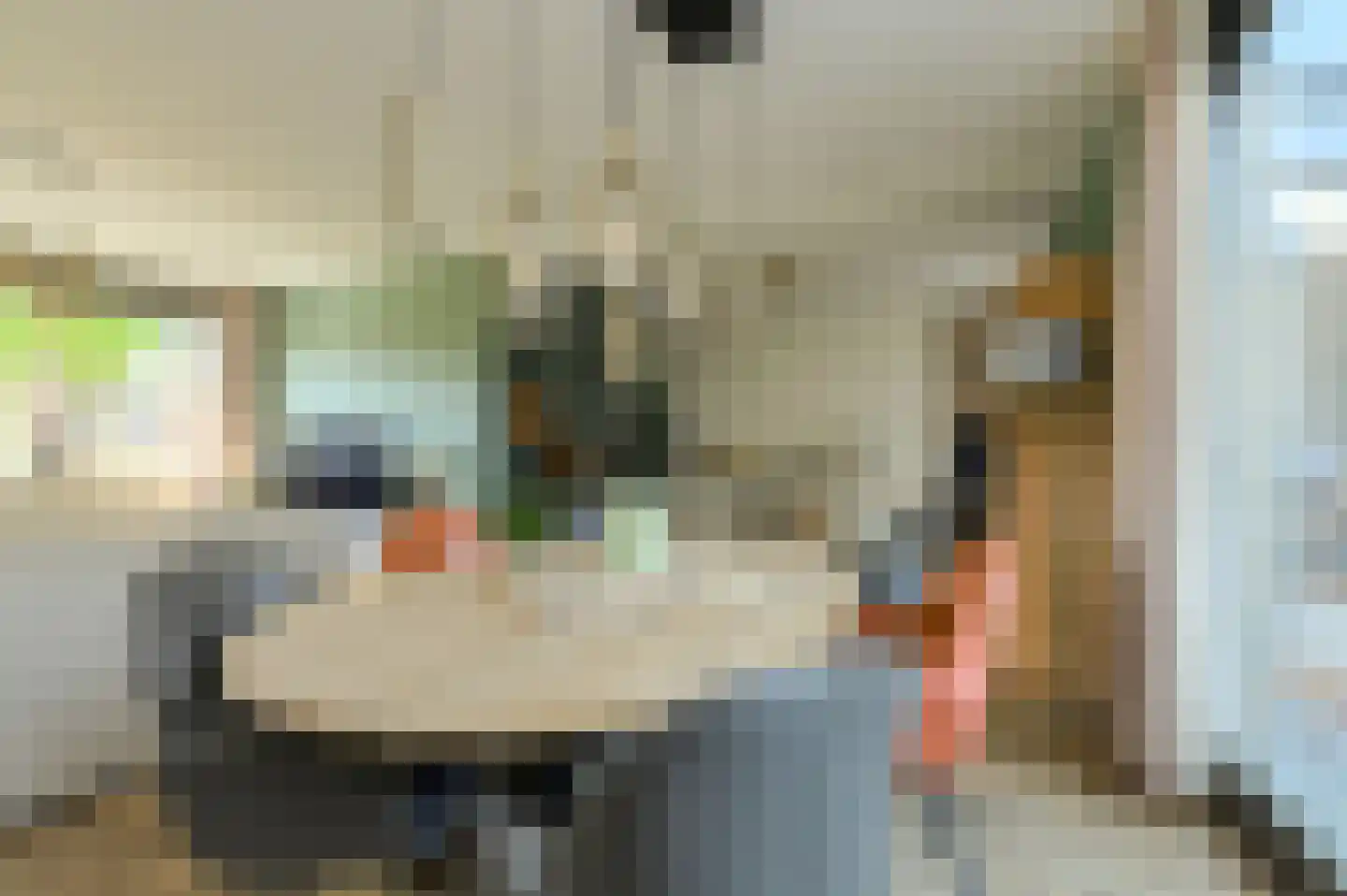 Gravin van Sulzbachstraat 17 Bavel thumbnail 11