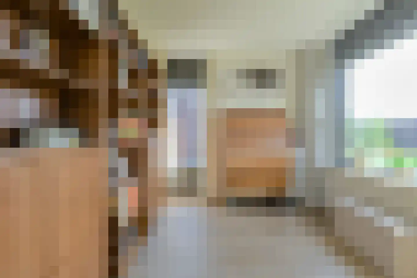 Gravin van Sulzbachstraat 17 Bavel thumbnail 35