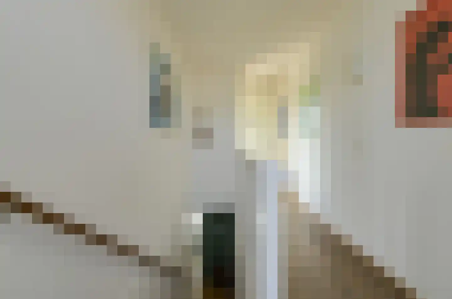 Gravin van Sulzbachstraat 17 Bavel thumbnail 36