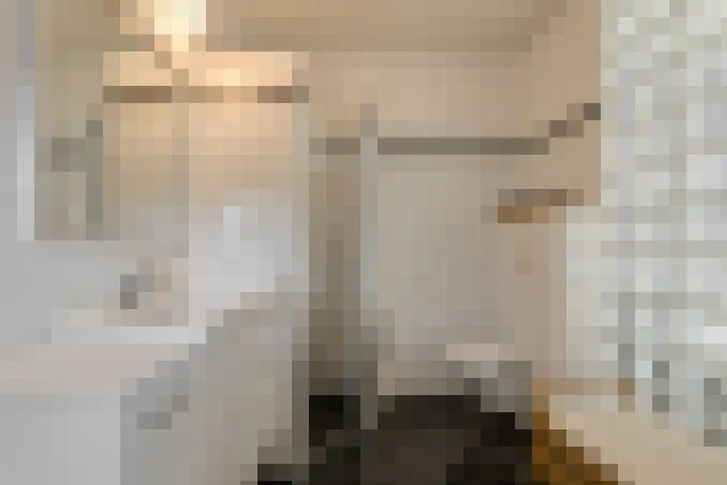 Gravin van Sulzbachstraat 17 Bavel thumbnail 4