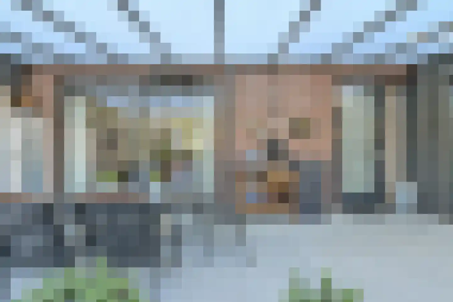 Gravin van Sulzbachstraat 17 Bavel thumbnail 48