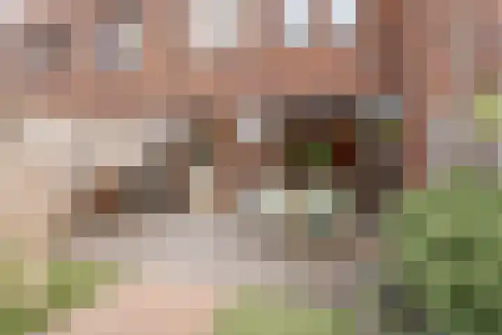 Gravin van Sulzbachstraat 31 Bavel thumbnail 14