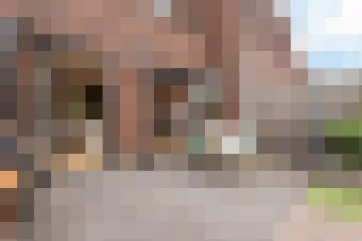 Gravin van Sulzbachstraat 31 Bavel thumbnail 15