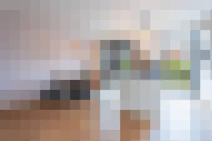 Gravin van Sulzbachstraat 31 Bavel thumbnail 8