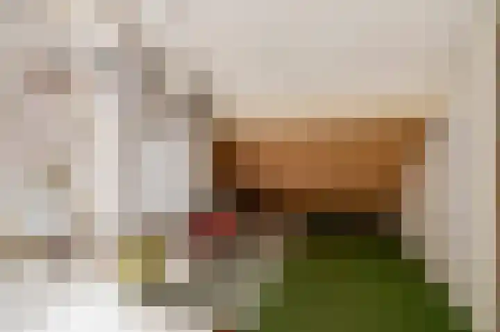Gravin van Viandenlaan 11 Leidschendam thumbnail 36
