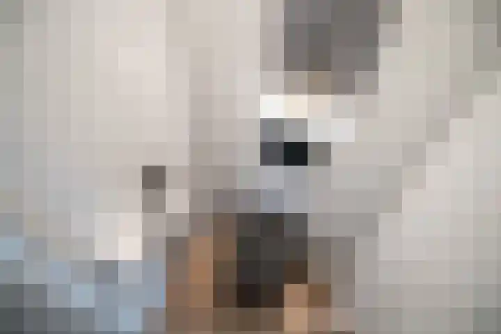 Gravin van Viandenlaan 26 Leidschendam thumbnail 30