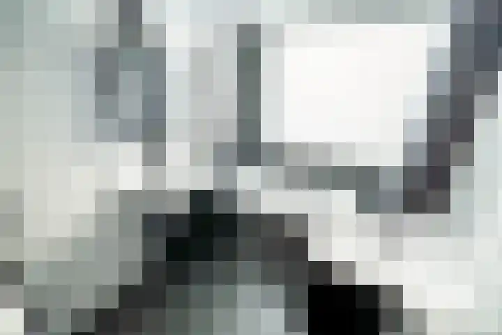 Gravin van Viandenlaan 26 Leidschendam thumbnail 35