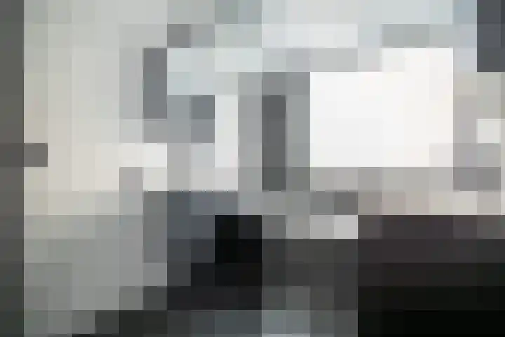 Gravin van Viandenlaan 26 Leidschendam thumbnail 36