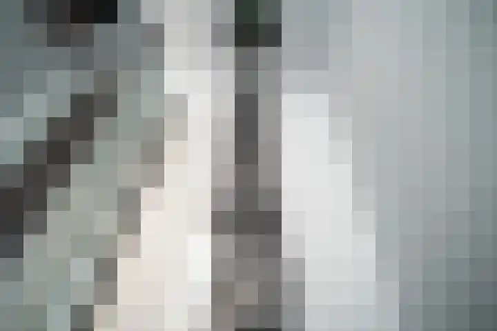 Gravin van Viandenlaan 26 Leidschendam thumbnail 37