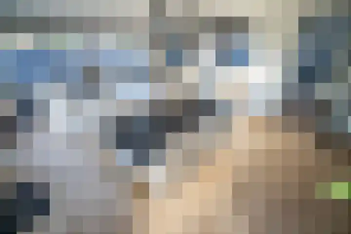 Gravin van Viandenlaan 26 Leidschendam thumbnail 6