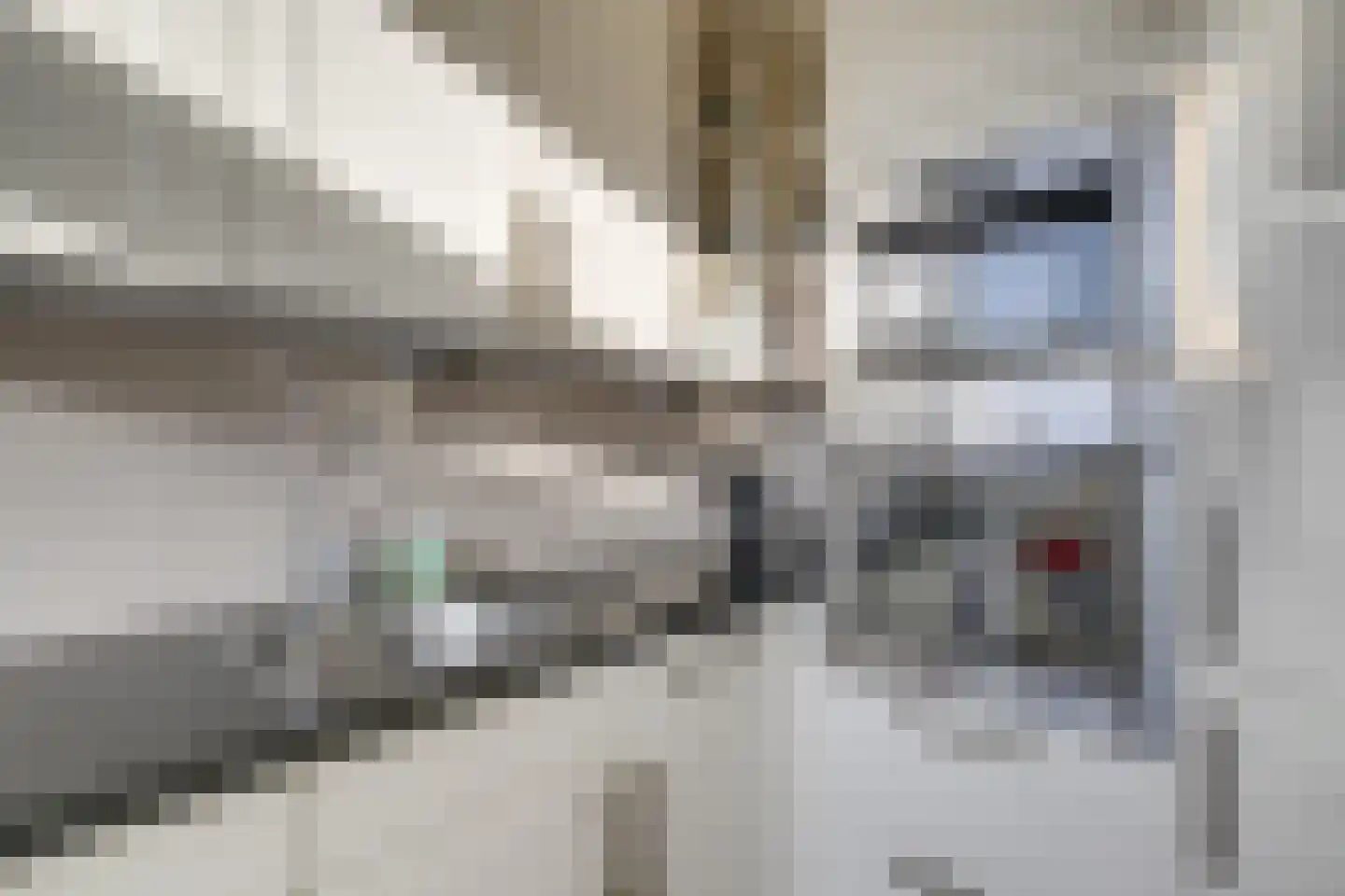 Gravin van Viandenlaan 8 Leidschendam thumbnail 11