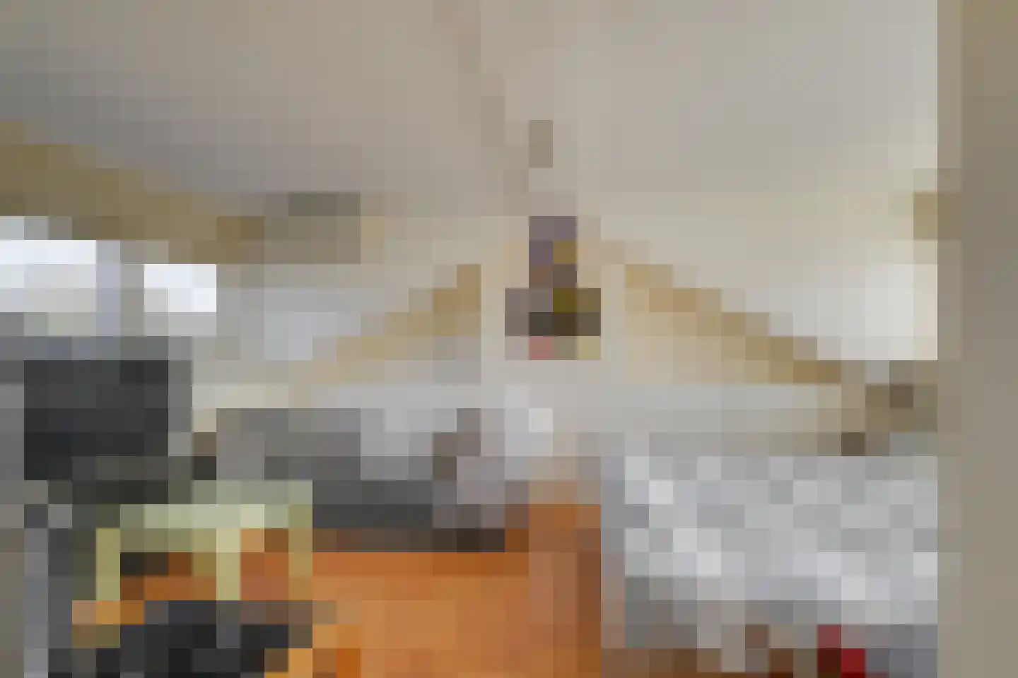 Gravin van Viandenlaan 8 Leidschendam thumbnail 18
