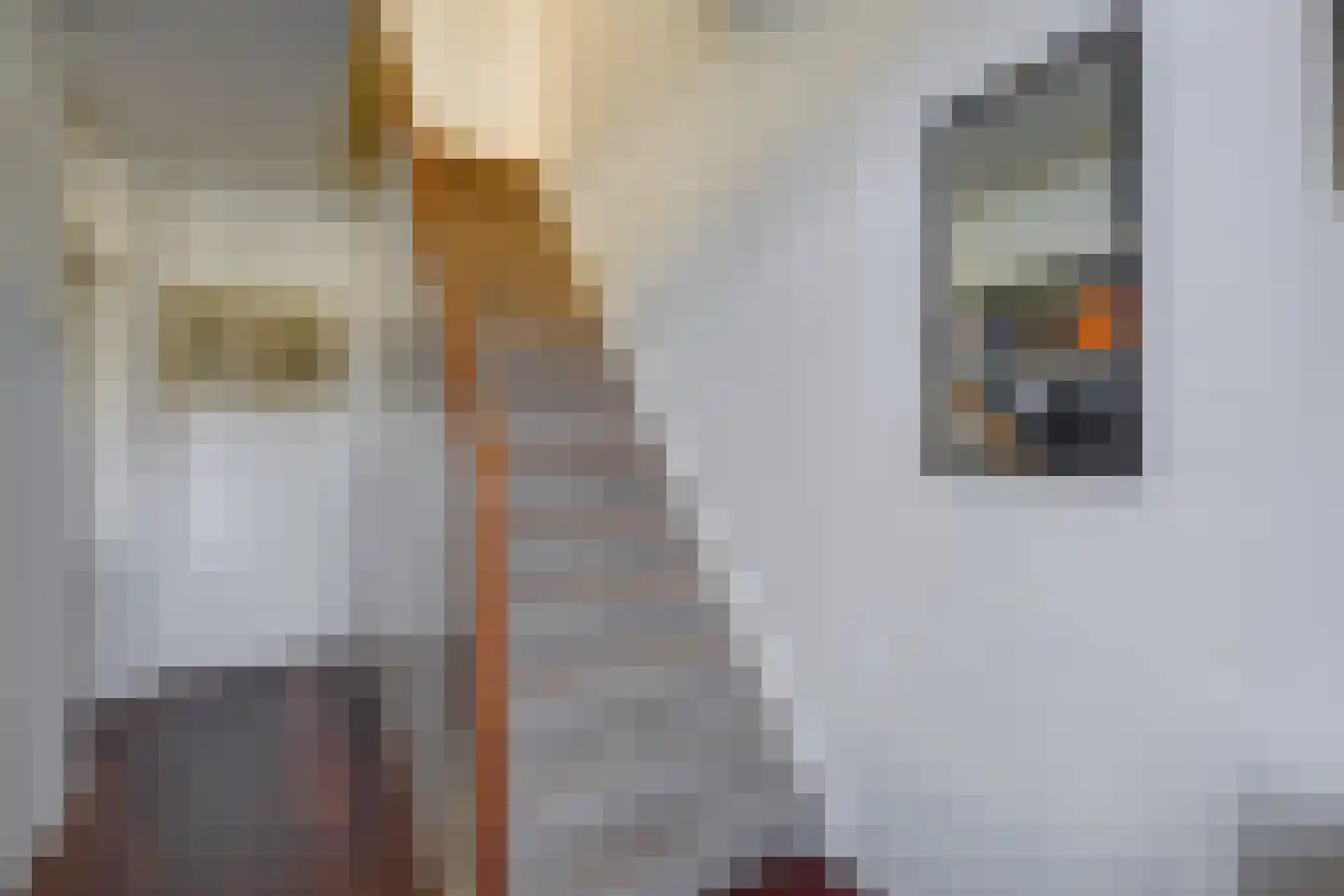 Gravin van Viandenlaan 8 Leidschendam thumbnail 7