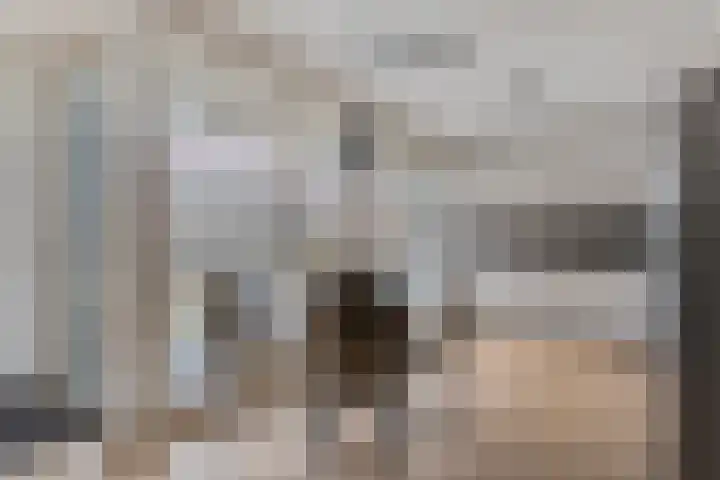 Gravinnelaan 24 Oud-Beijerland thumbnail 15