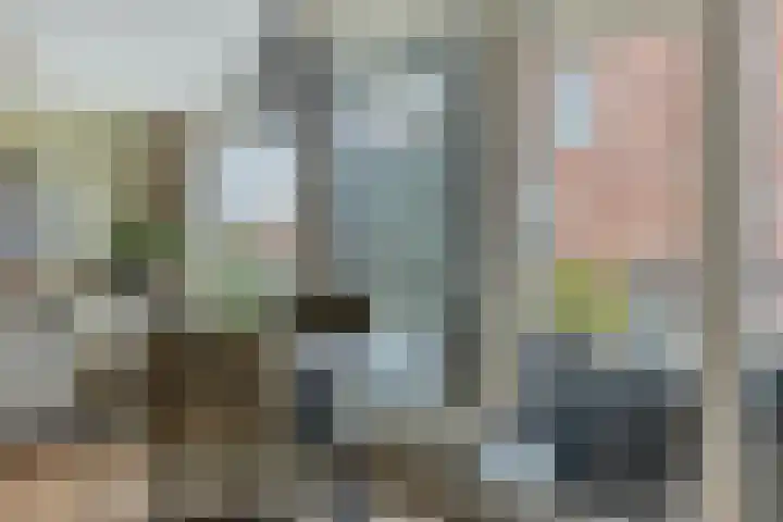 Gravinnelaan 24 Oud-Beijerland thumbnail 16
