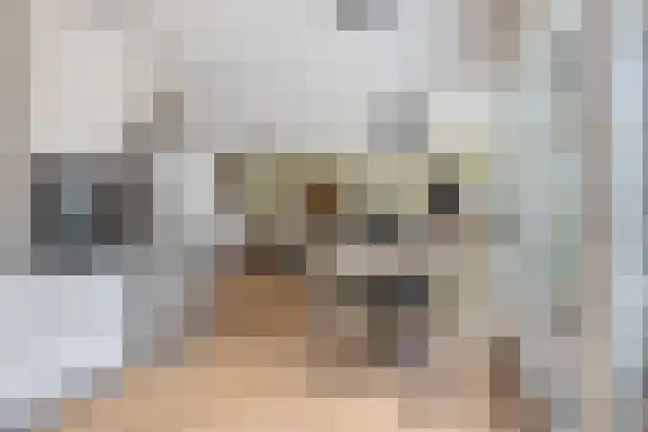 Gravinnelaan 24 Oud-Beijerland thumbnail 17