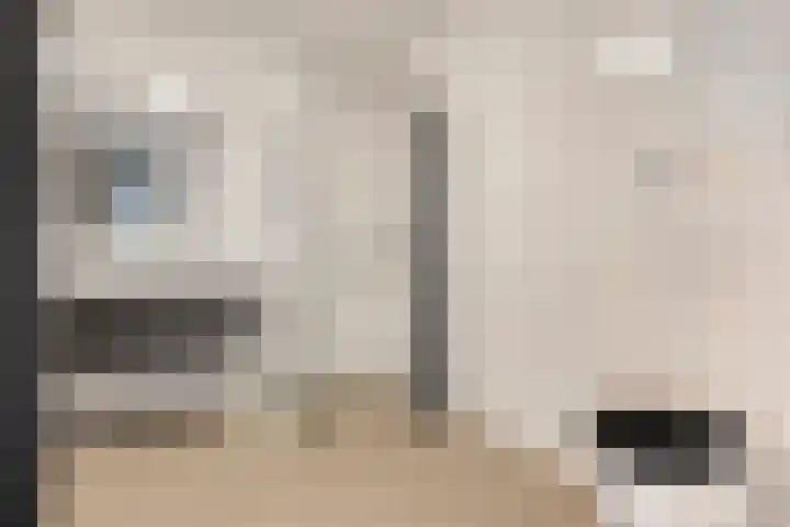 Gravinnelaan 24 Oud-Beijerland thumbnail 19