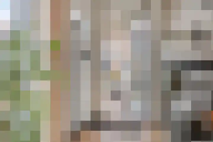 Gravinnelaan 24 Oud-Beijerland thumbnail 29